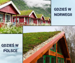 Zielone dachy Backup Dach